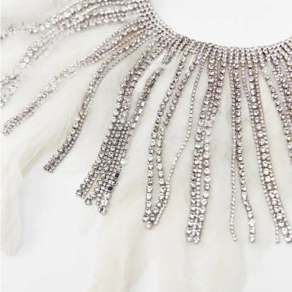 NWOT. Zara Feather Rhinestone Fringe Choker Necklace. - Picture 6 of 8